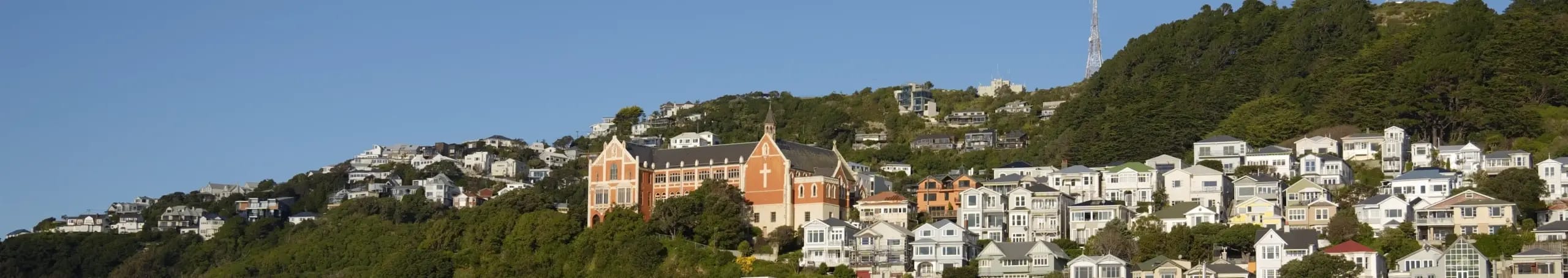 Mont Victoria Wellington
