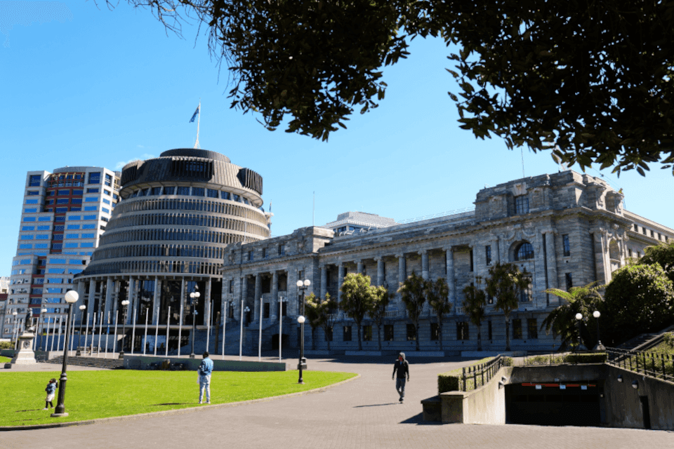 See Walk Talk - Gallery Image 3